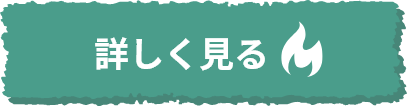 詳しく見る